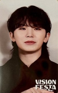 VISION FESTA 入場卡 / 場限卡 