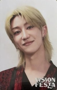 VISION FESTA 入場卡 / 場限卡 