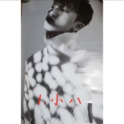 SEVENTEEN 17 摺疊海報 小八 The8 韓率 Vernon 勝寬