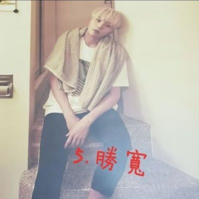 SEVENTEEN 17 摺疊海報 小八 The8 韓率 Vernon 勝寬