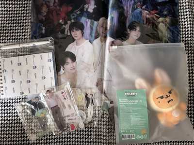 （現貨可當日寄出 整圖出）TXT 黃春 原皮 然竣 立牌