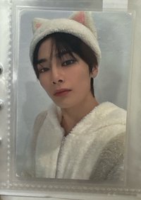 塔店小狐狸戴寅帽