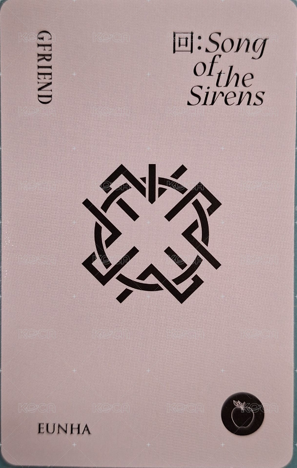 迷九 專輯卡  背面