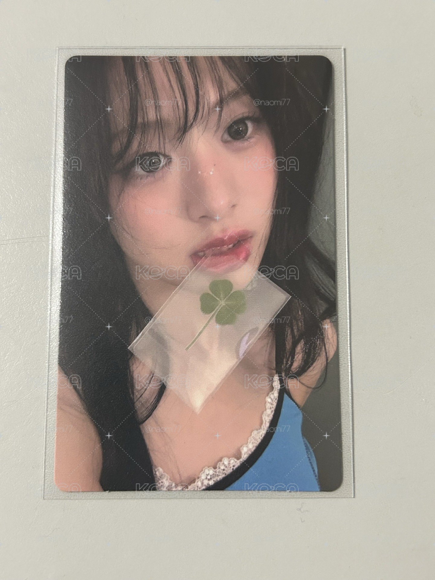 寶怪 wvs幸運草賢