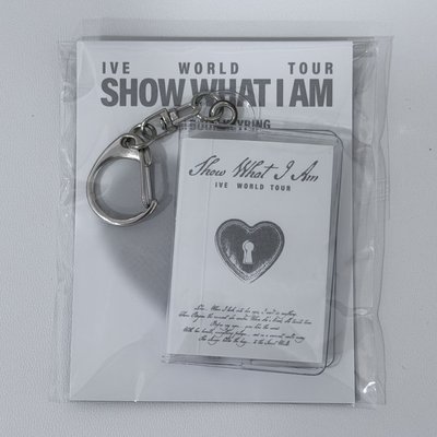 SHOW WHAT I AM 鑰匙圈吊飾 迷你書吊飾 