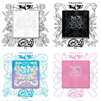 IVE SWITCH 四版一套