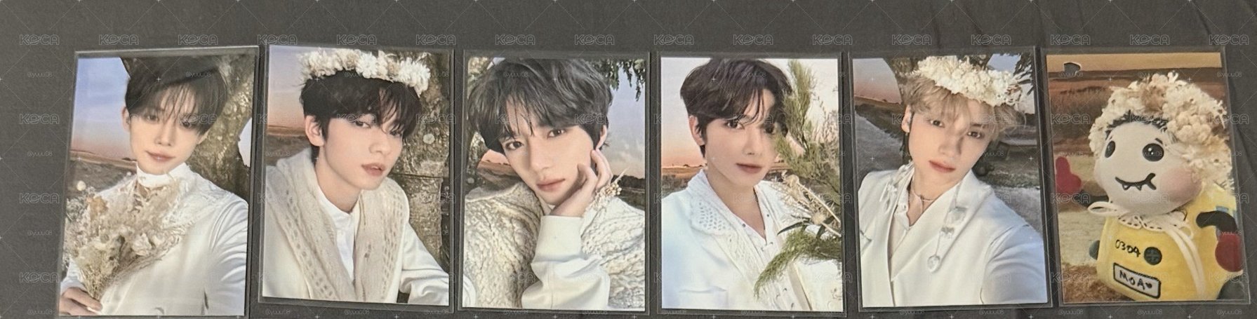 24巡迴粽卡 moa zone