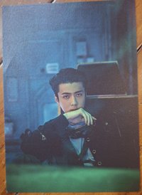 DFTF 仙女樹 明信片 世勳明信片