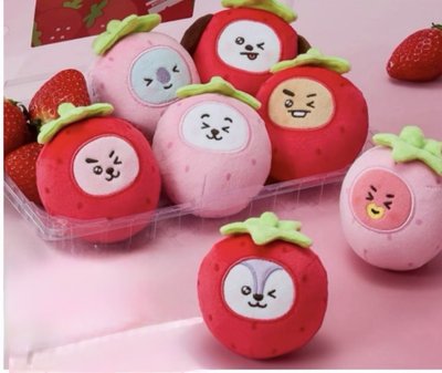 BT21舒壓捏捏/卡套