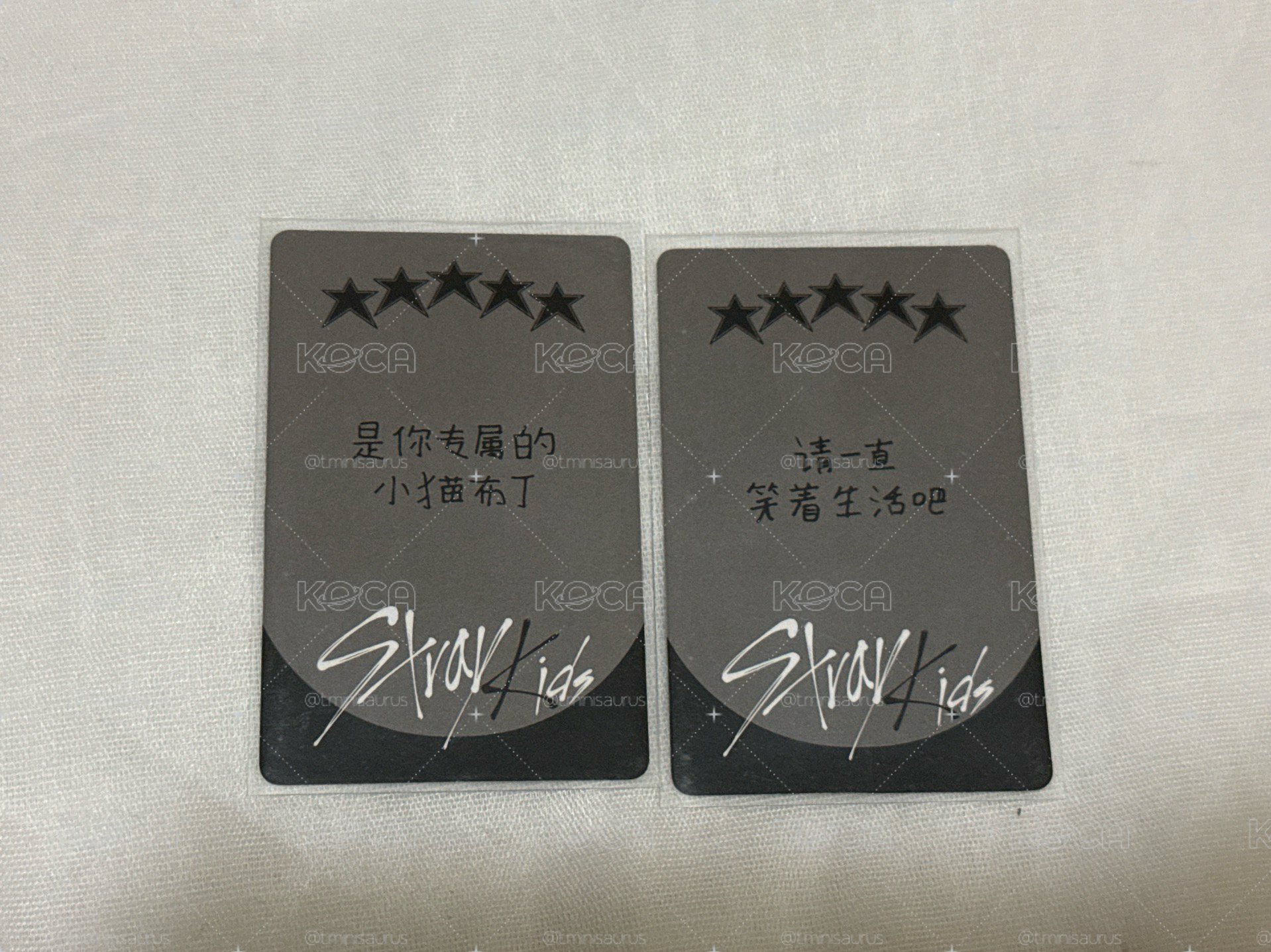 Stray Kids 五星 一直娛 1.0 中背