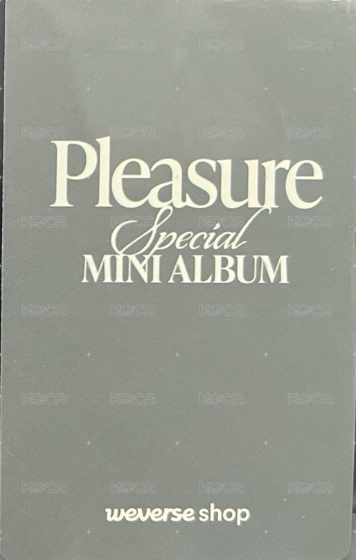 PLEASURE wvs 單封預購 特典卡  背面