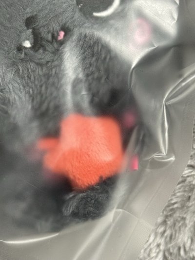 kuri🌰二販現貨全新未拆