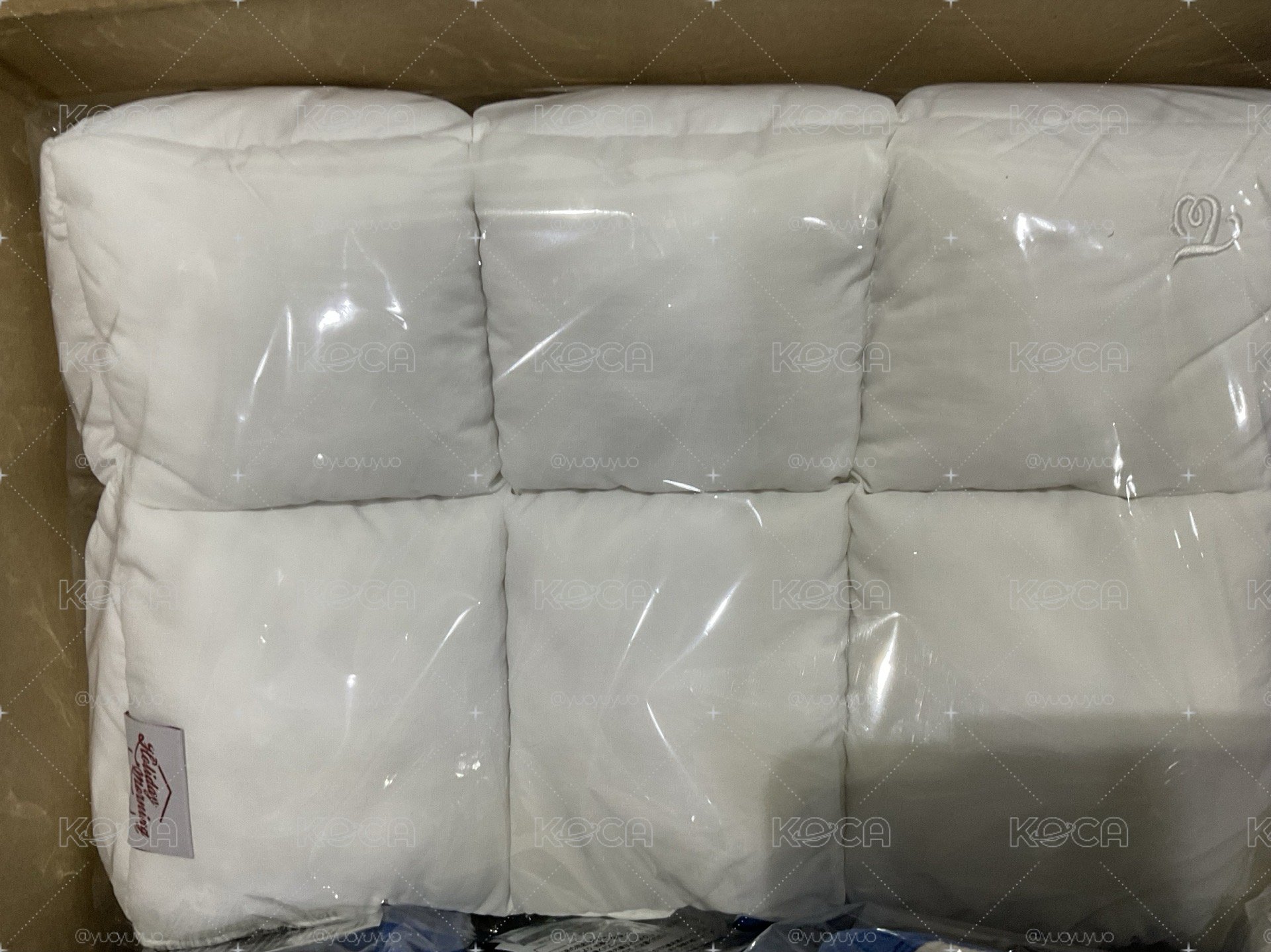 ✨現貨 冬日包