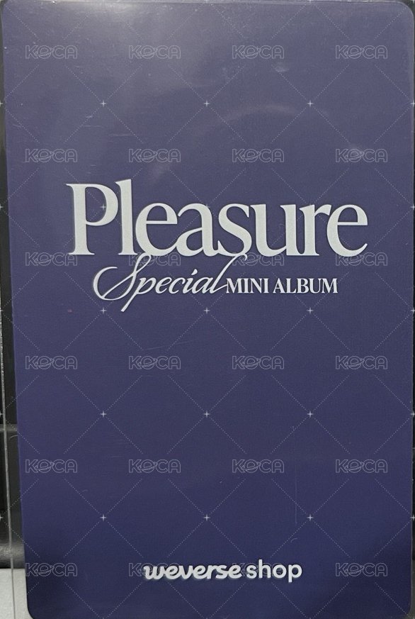 PLEASURE wvs 線上簽售 特典卡  背面