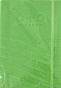 BIGSHOW 2010 寫真集 