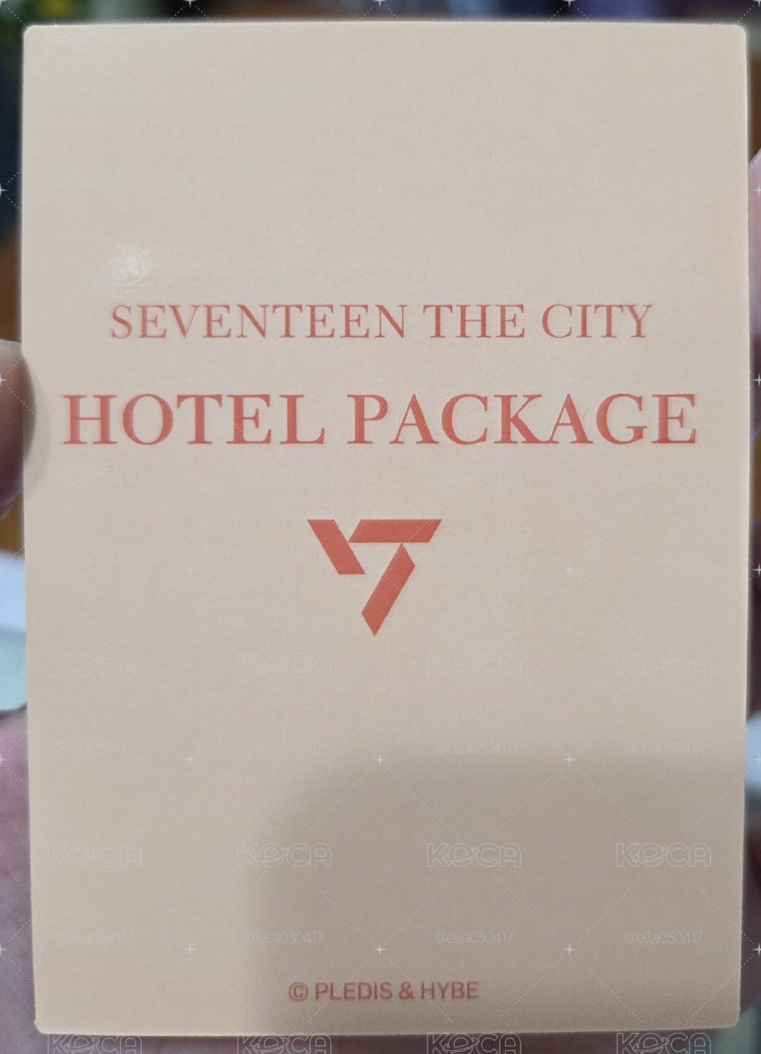 SEVENTEEN MINGYU 奎 DREAM 入場卡 / 場限卡 THE CITY HOTEL PACKAGE