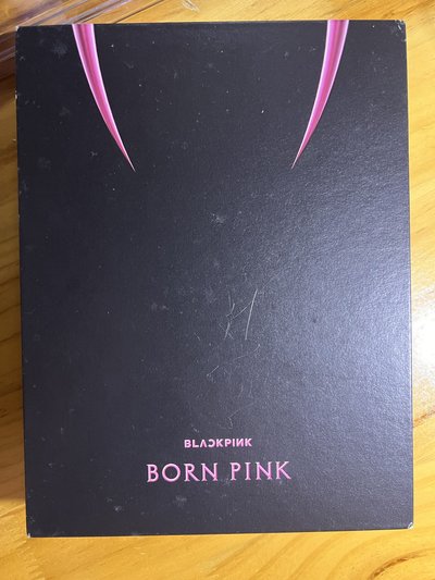 BORN PINK 空專