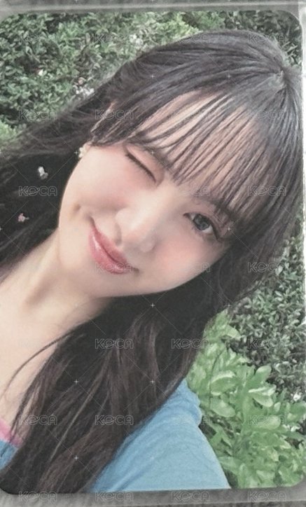 夏寫栗
