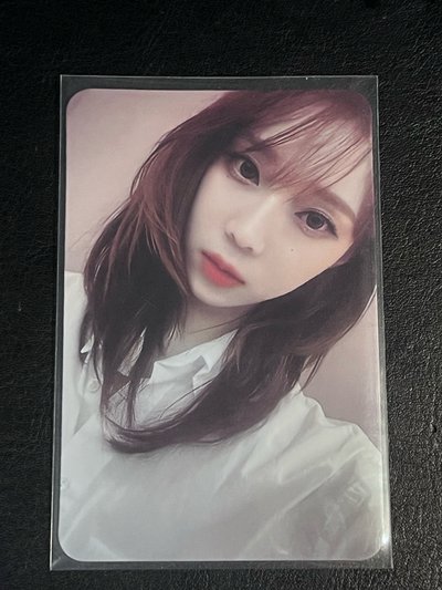 Drama 星河簽售冬 中文卡背