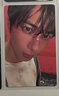 wvs懟臉小咪（含未拆立牌）