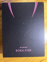 BORN PINK 空專