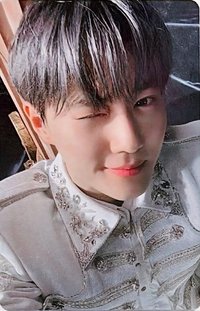Reverxe Kpop Nara 特典卡 