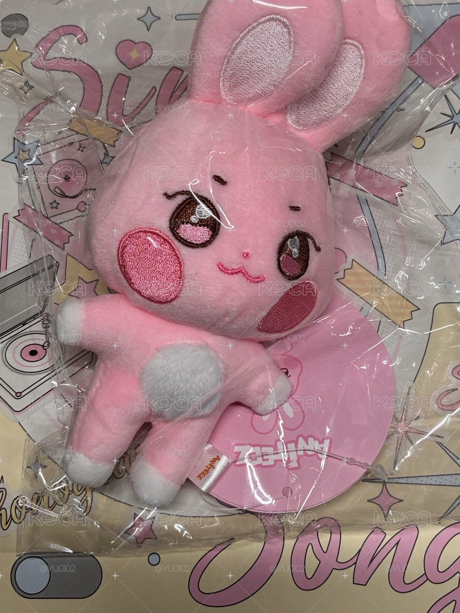 Aniteez 原皮星小盤🌟