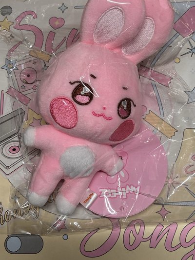 Aniteez 原皮星小盤🌟