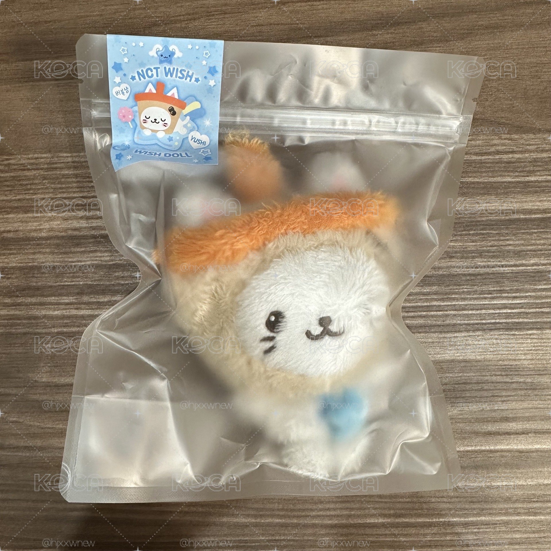 Wishdoll 原皮 奶茶貓 Yushi（🥐快閃店購入）