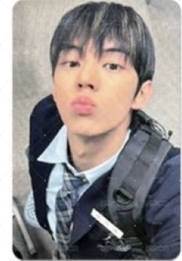 愛豆驛站小狼