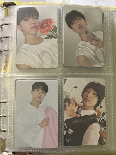 榮小盤 ఇ ◝‿◜ ఇ 