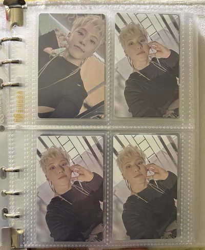 榮小盤 ఇ ◝‿◜ ఇ 