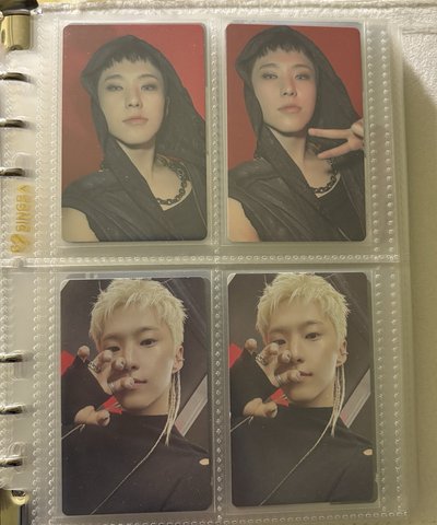 榮小盤 ఇ ◝‿◜ ఇ 