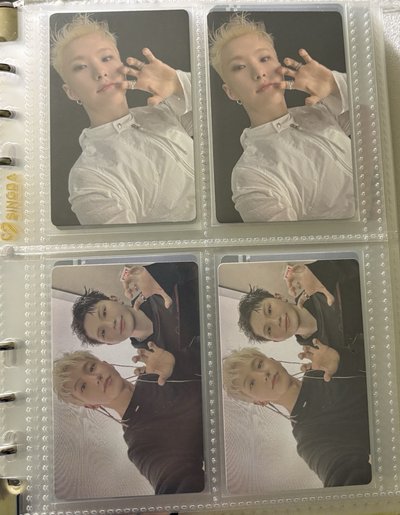 榮小盤 ఇ ◝‿◜ ఇ 