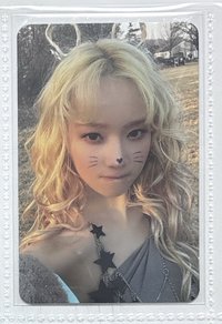 正規一 專輯卡 ZINE版冬 貓咪冬