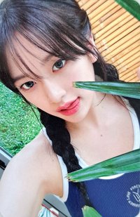 夏日寫真 星船 特典卡 