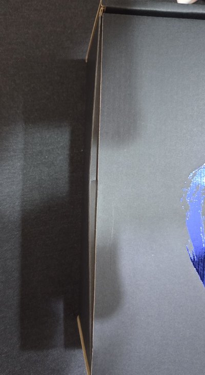 SUPER JUNIOR mu-mo shop 油麵碗(含卡)