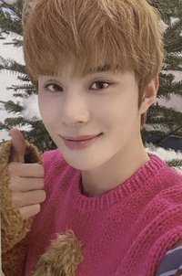 BTFM 黃版 隨機卡 