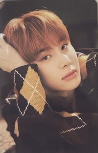 BTFM 黃版 隨機卡 官拍