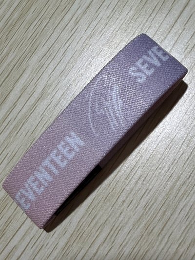 SEVENTEEN WORLD TOUR [BETHE SUNJ》俊