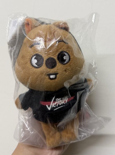 SKZOO 闊卡 迷你娃 初版