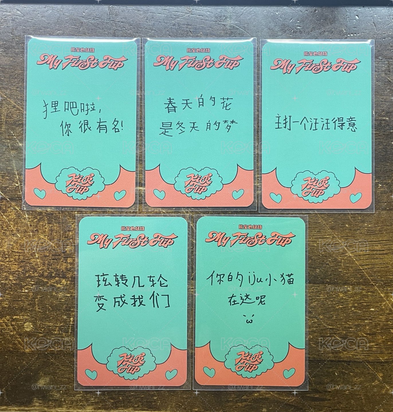 貓耳（中背）