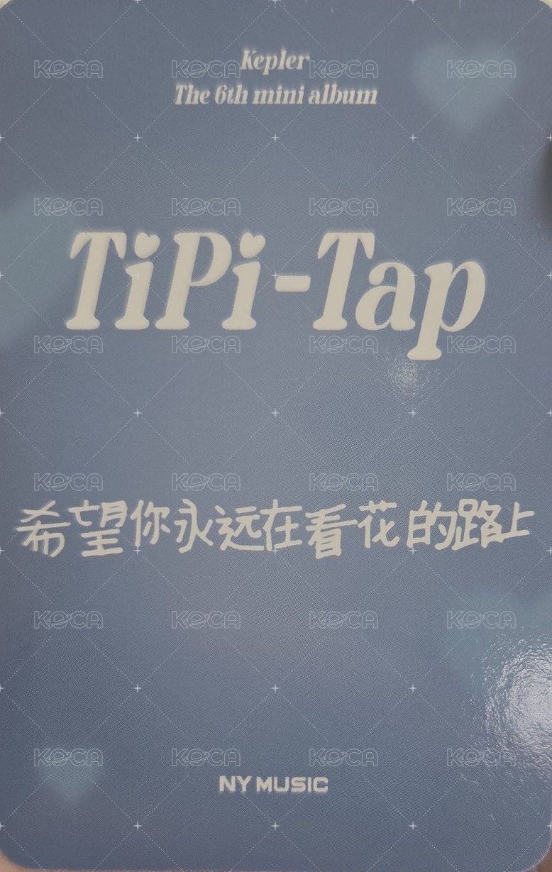 迷六 ny 上海線下 簽售卡 兔子警官 金髮 背面