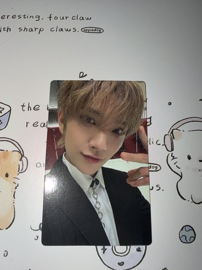 SVT 什麼卡/周邊都有