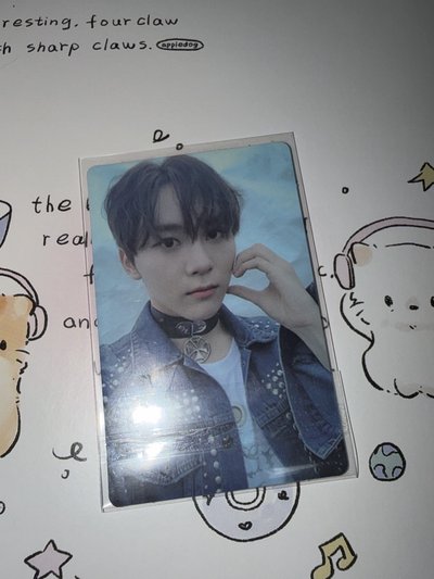 SVT 什麼卡/周邊都有