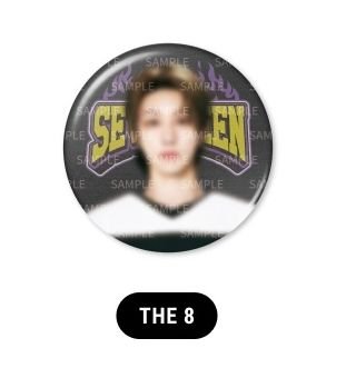 知勳生日禮墨鏡（綁花圈娃及徽章）