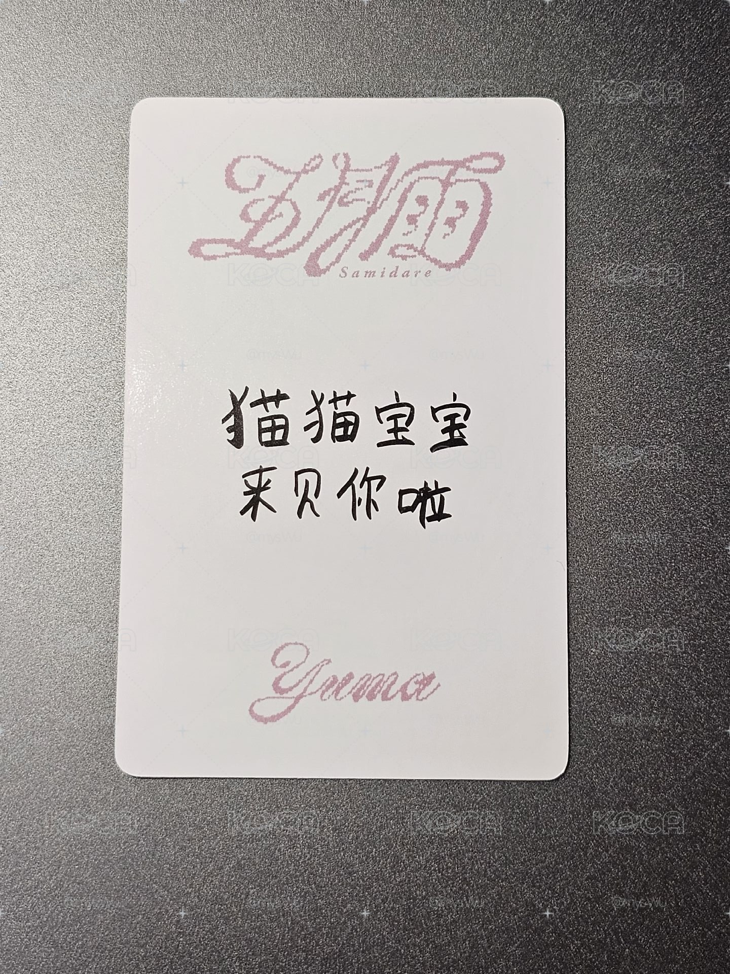 yuma 五月雨中背 青島線下