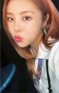 I SAY MAMAMOO:THE BEST Bizent 特典卡 