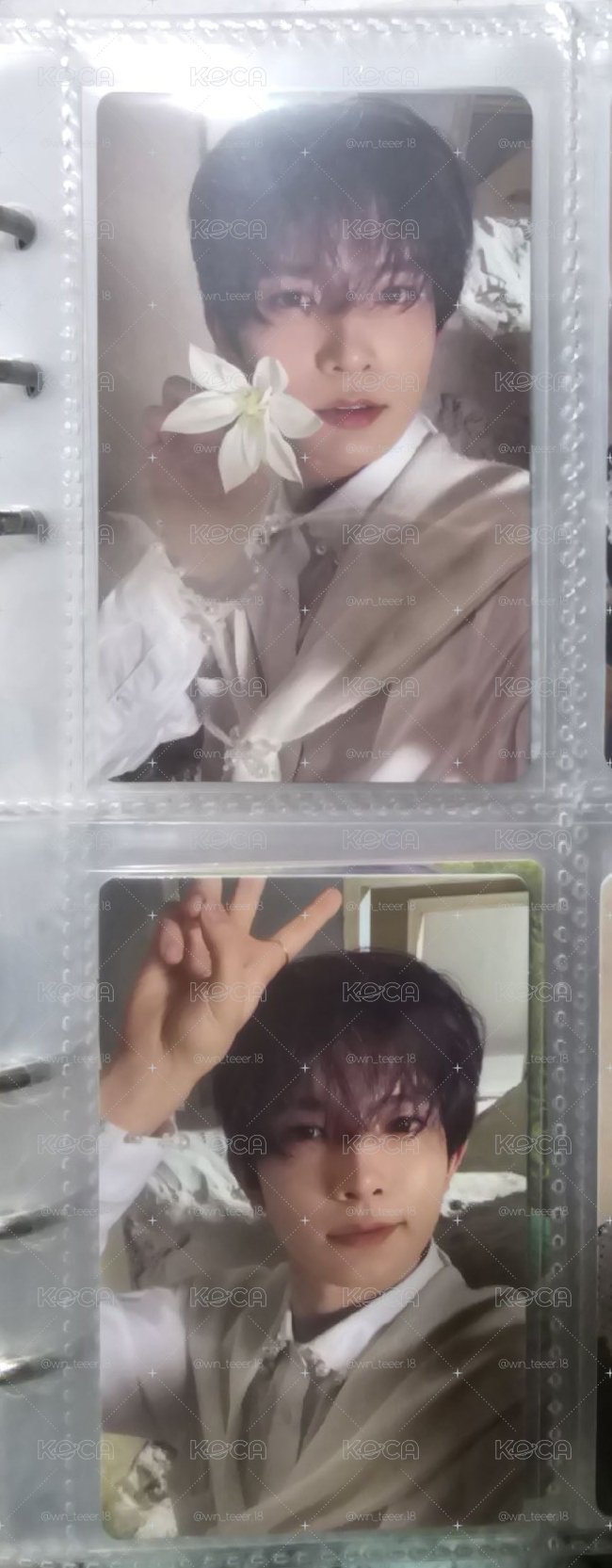 迷五專卡羲