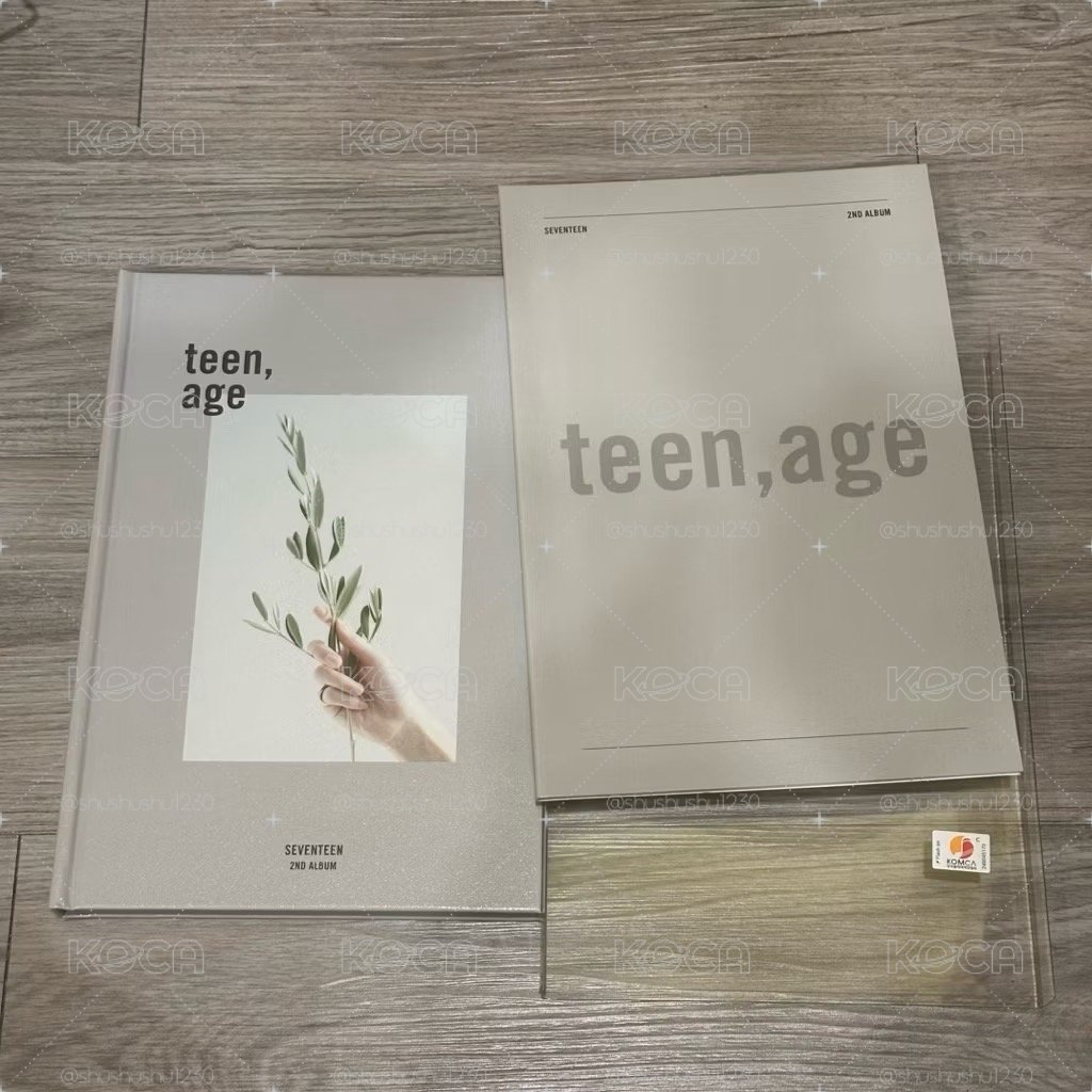 TEENAGE正二空專 立牌